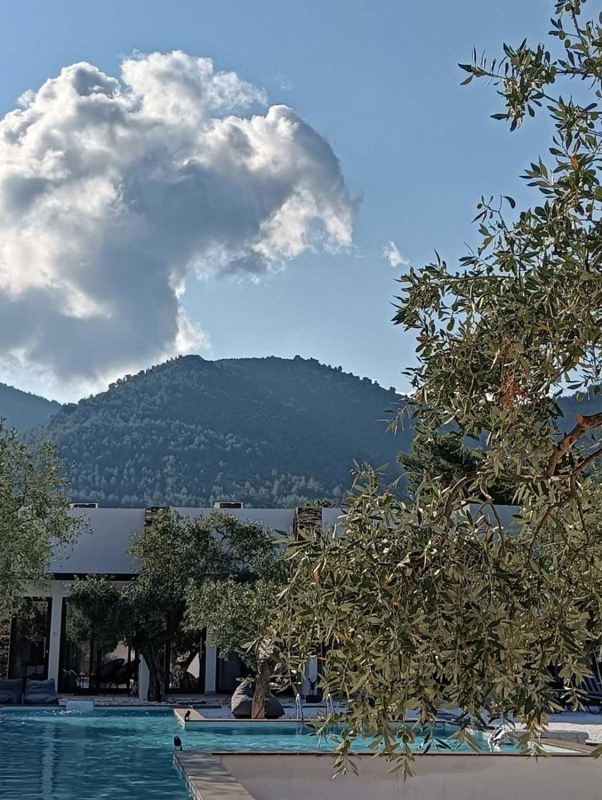 Hotel The Olive Hills Skala Rachoni  Exterior foto